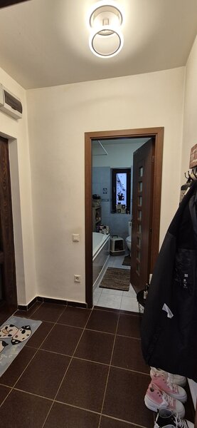 Theodor Pallady, Titan, Sector 3.